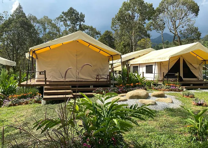 Canopy Villa Nuang Hill