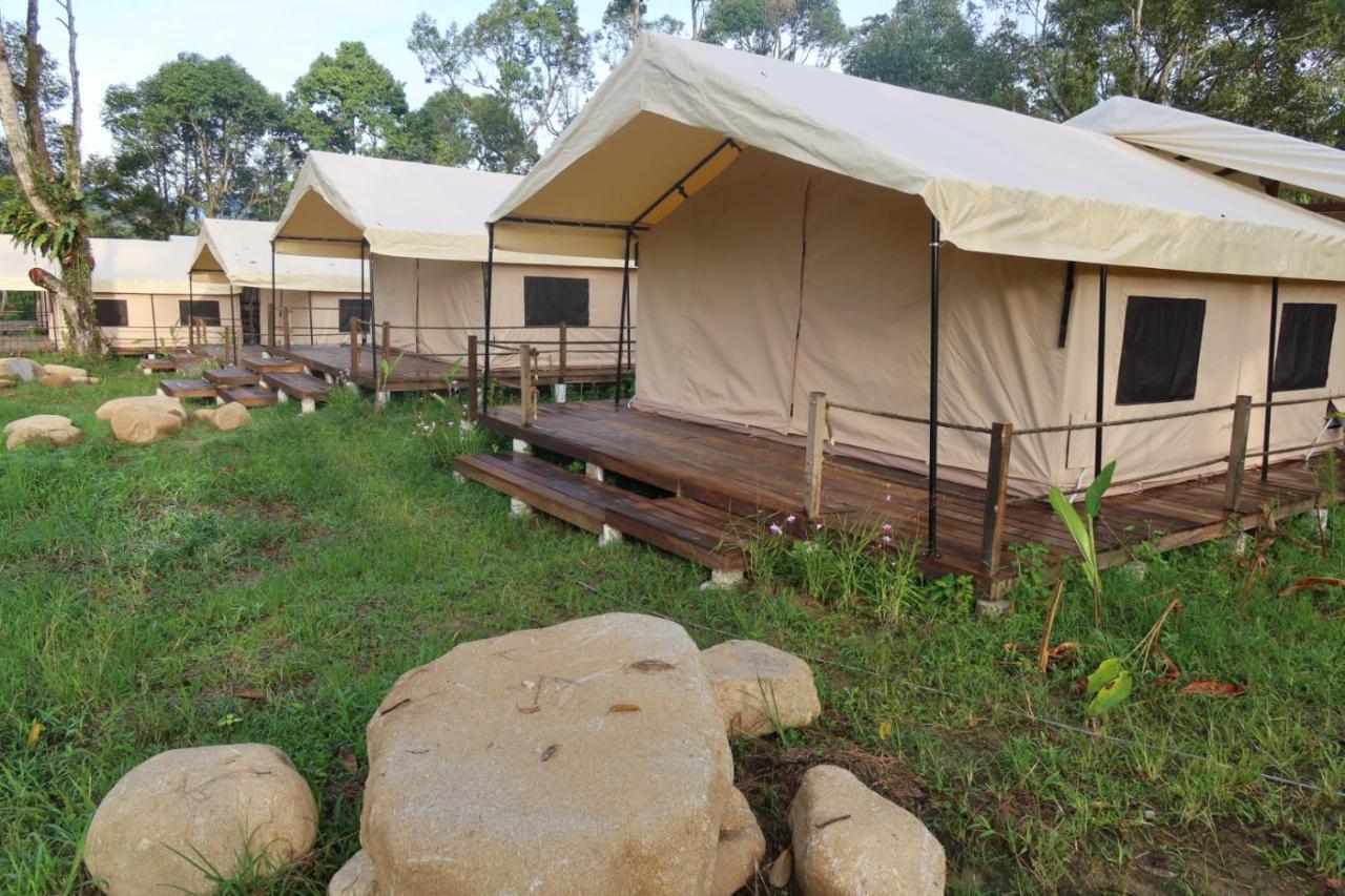 Luxury tent Canopy Nuang Hill Bentong