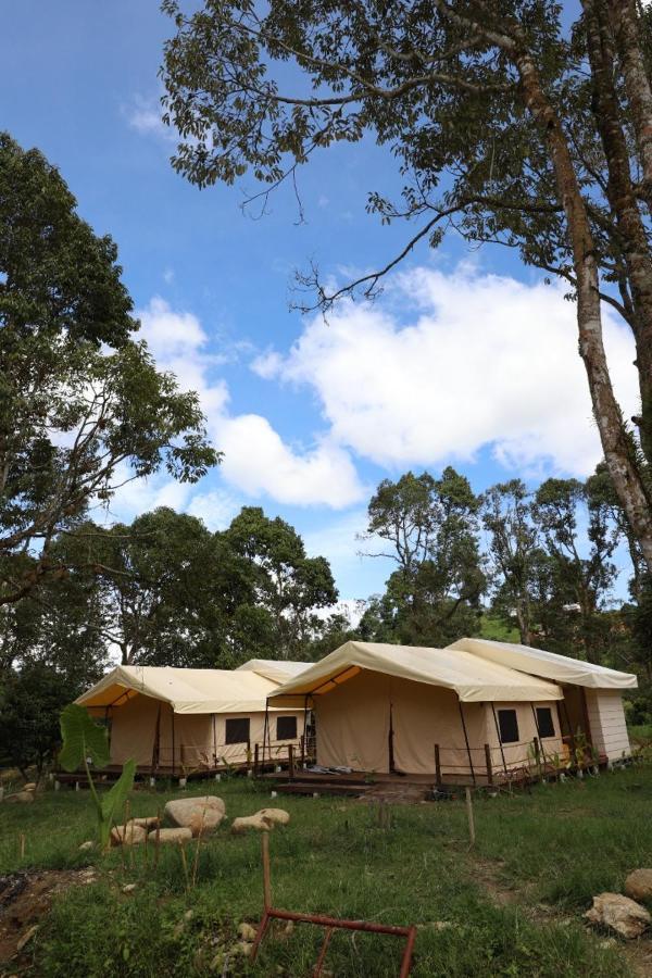 Luxury tent Canopy Nuang Hill